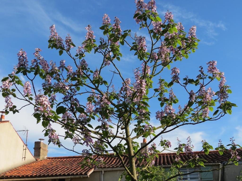 L'Aubinoise Bed & Breakfast Saint-Aubin-la-Plaine Luaran gambar